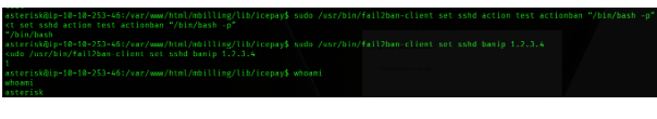 Prueba fallida al intentar ejecutar /bin/bash -p directamente desde el actionban de Fail2Ban