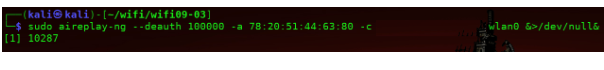 Terminal mostrando dos comandos aireplay-ng ejecutándose en paralelo en segundo plano