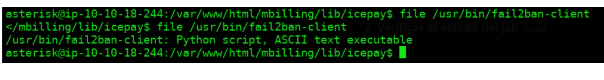 Resultado del comando file mostrando que fail2ban-client es un script de Python