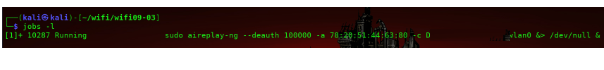 Salida del comando jobs -l mostrando los procesos aireplay-ng en segundo plano con sus PIDs