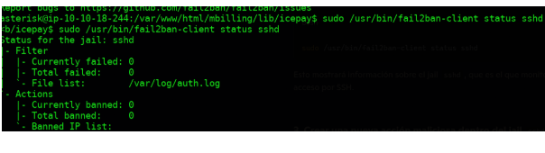 Resultado de fail2ban-client status mostrando el jail sshd disponible