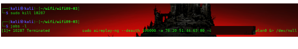 Terminal mostrando el comando kill con el PID del proceso aireplay-ng para detenerlo