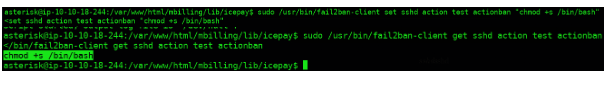 Configuración del comando actionban chmod +s /bin/bash en la acción test