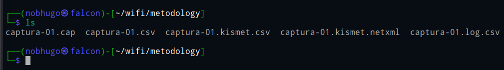 Listado de archivos generados por airodump-ng: .cap, .csv, .kismet.csv y .kismet.netxml